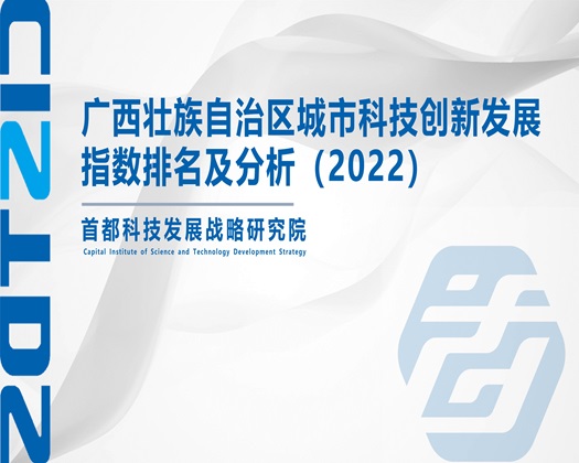 嗯啊小骚逼【成果发布】广西壮族自治区城市科技创新发展指数排名及分析（2022）